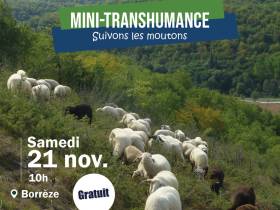Mini-transhumanche à Borrèze