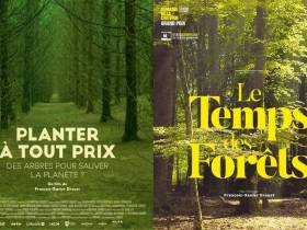 Soirée "La fôret en danger"