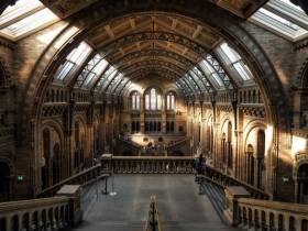 Agenda Dordogne Nuit des musées | Un musée dans le noir