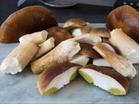 Repas d'Automne