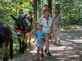 agenda Dordogne Été actif - balade avec un âne 