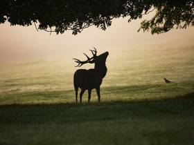 Agenda Dordogne La Chasse, un atout majeur de la ruralité