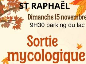 Sortie mycologique