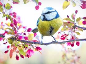 agenda Dordogne Marché de Printemps et vide-grenier à Parcoul