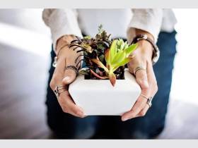 Troc de plantes