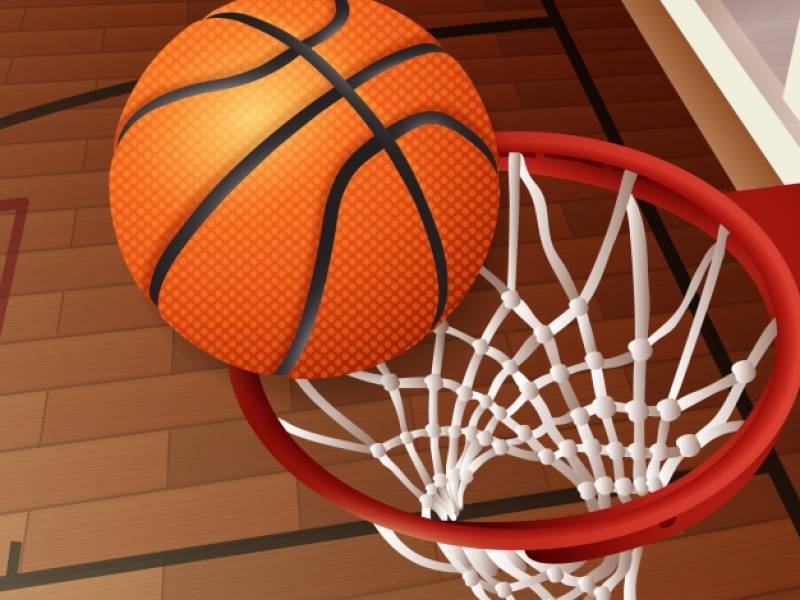 Tournoi de Basket challenge Véro au profit de la Ligue Contre Le Cancer