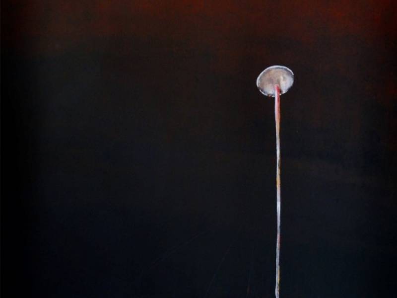 Exposition : Frank Simon