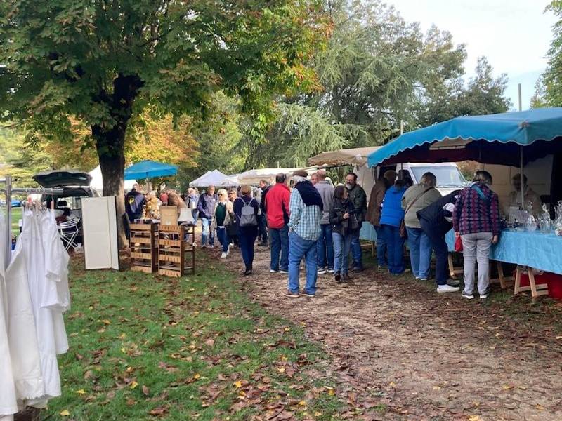Brocante professionnelle 