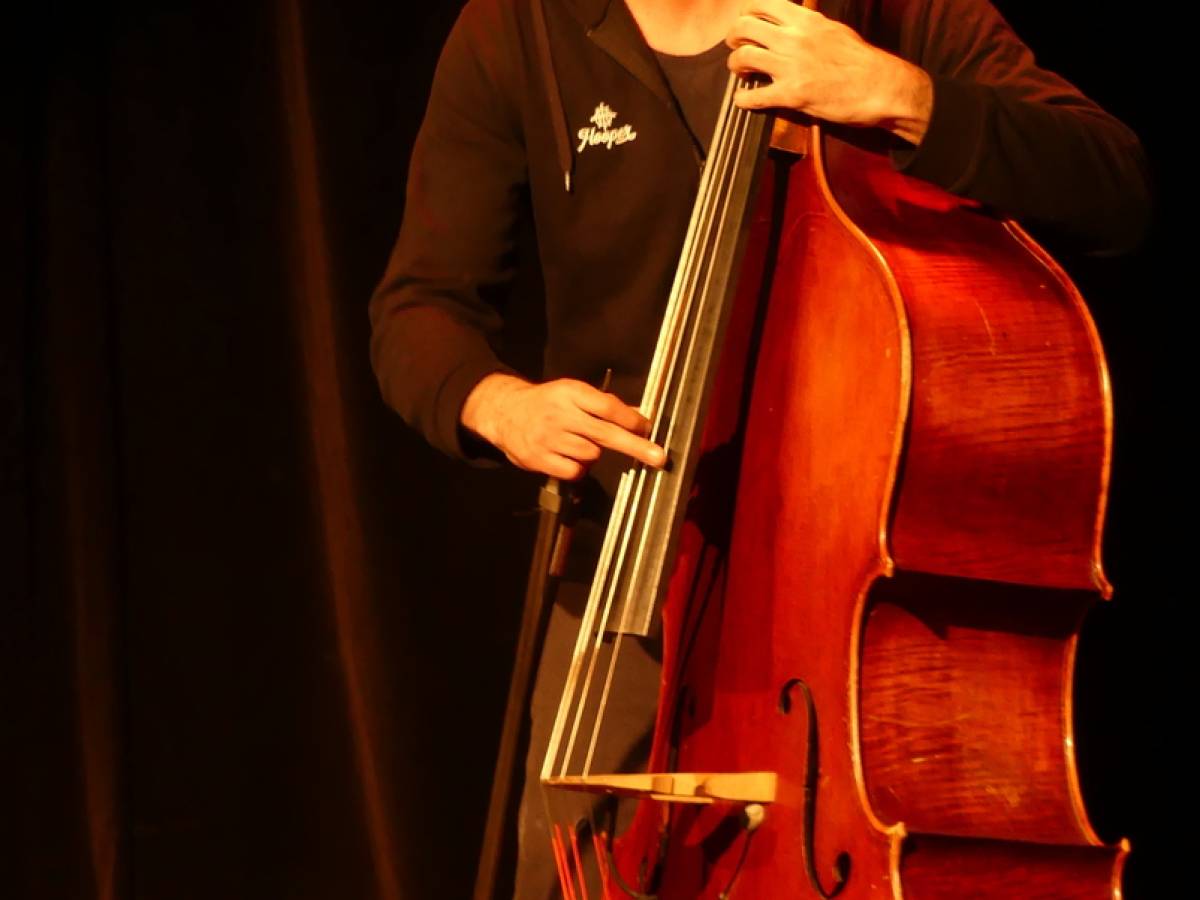 Les Zevadés