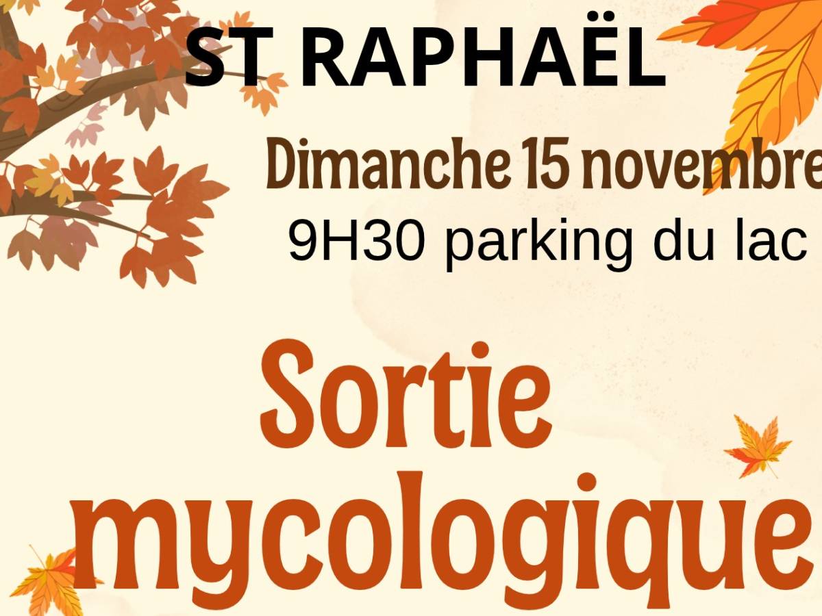 asso les amis de st raphaël