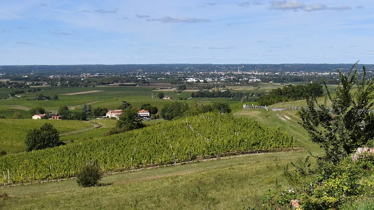 Vineyards and panoramic views of the Bergerac region as seen from the heights of Monbazillac.