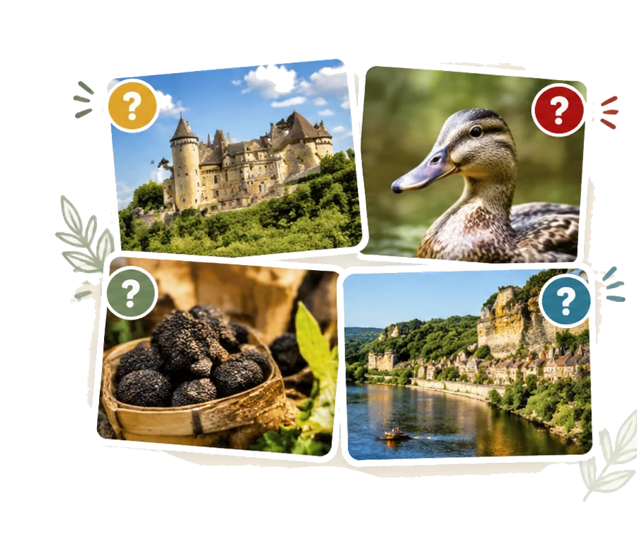 Illustration : château, canard, truffes et village au bord de la Dordogne