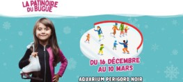 La patinoire du Bugue
