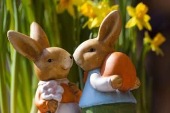 Les Iris - Domaine de Bellevue Cottage - VACANCES DE PRINTEMPS / PAQUES 2026 A BERGERAC EN DUO