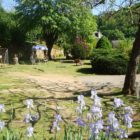 Parc du Petit Mas