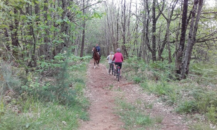 Cyclhope location de velo