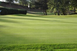 Golf Château les Merles