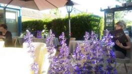 Auberge de la Truffe