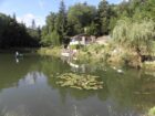Gîte l'étang de la gane