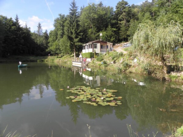 Gîte l'étang de la gane
