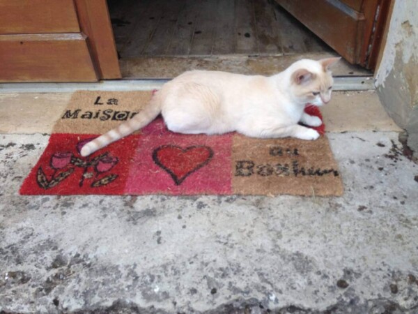 La Casa della Felicità