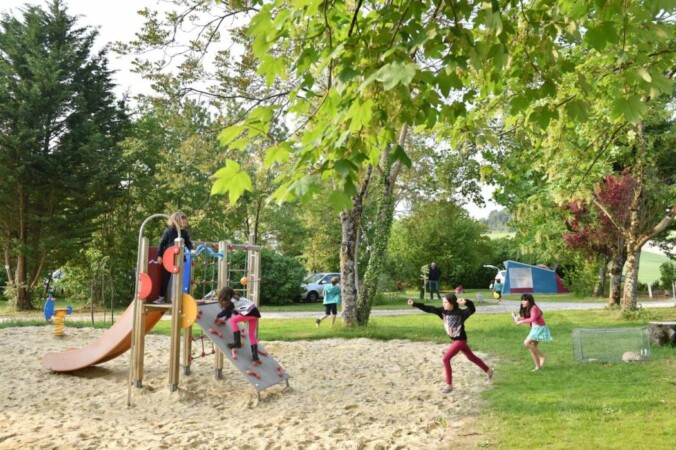 Le Petit Lion des Tourbières