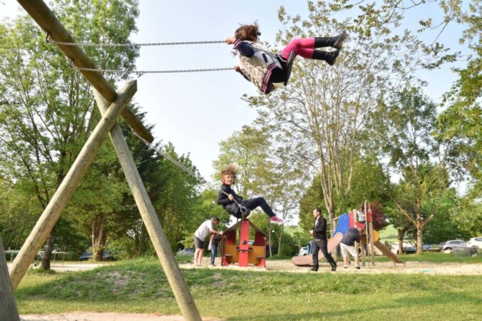 Le Petit Lion des Tourbières