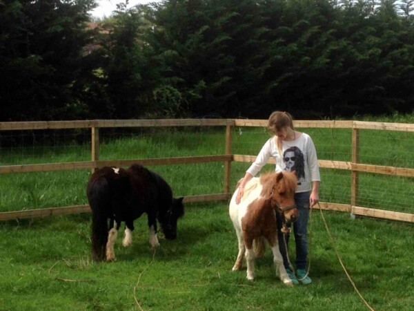 La Casa della Felicità