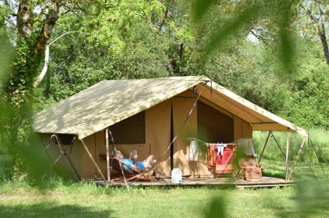 Le Petit Lion des Tourbières