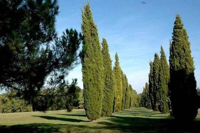 Domaine de Pemejot