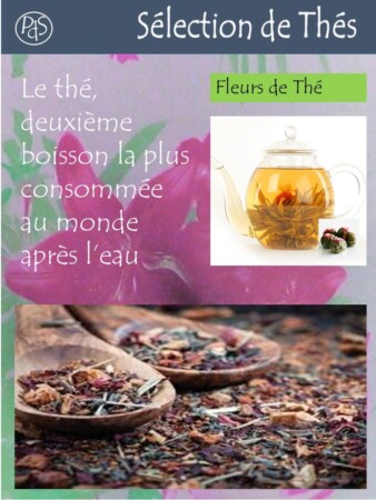Poésie des Sens