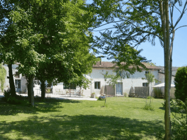 Le Petit Lion des Tourbières