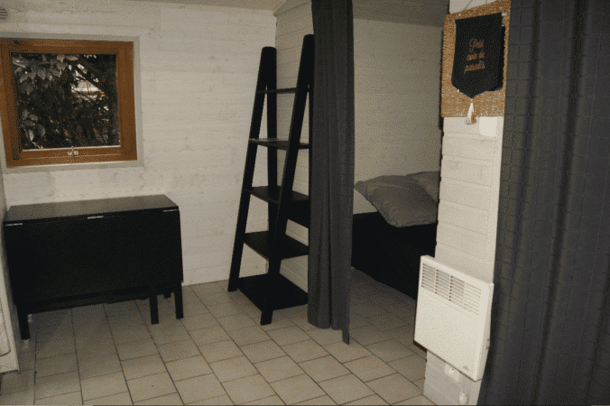 Le Petit Lion des Tourbières