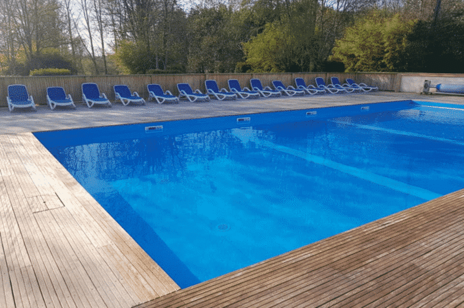 Le Petit Lion des Tourbières