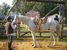 West Wood Ranch