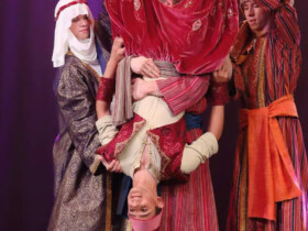 Cirque/danse | Aladdin
