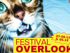 Rocksane | Festival Overlook