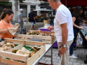 Marché du dimanche