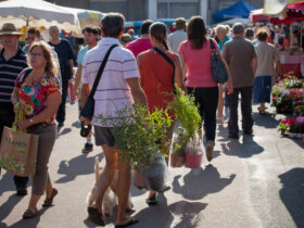 Marché traditionnel