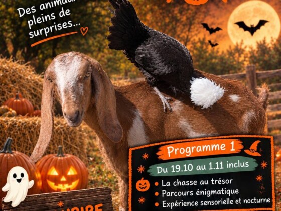 Activités Halloween au Parc des Petites Merveilles