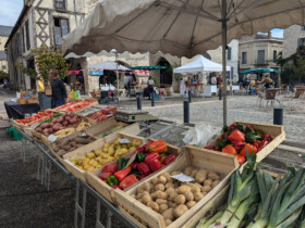 Marché des producteurs et créateurs locaux