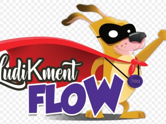 Ludikment Flow