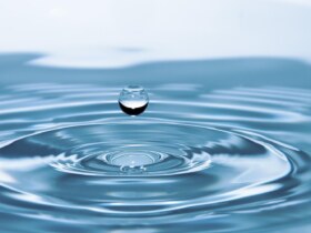 Exposition "L'eau, une richesse à préserver"