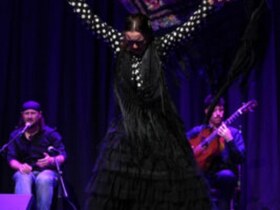 Flamenco en resistencia