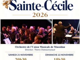 Concert