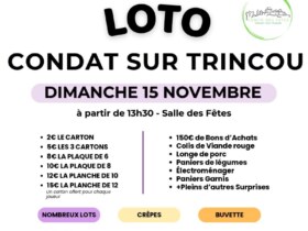 Loto