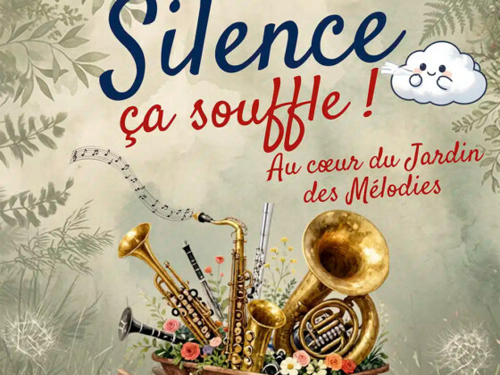©Concert du nouvel an CCMM