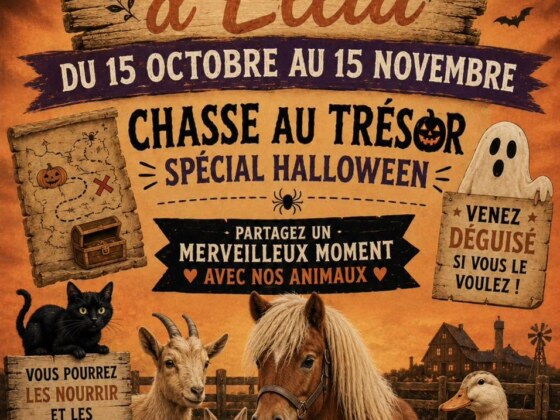 OT Sarlat