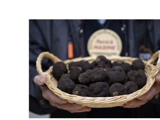 ©Écomusée de la truffe
