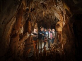 agenda Dordogne Visite spéciale \
